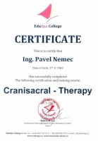 Cranisacral Therapy 1
